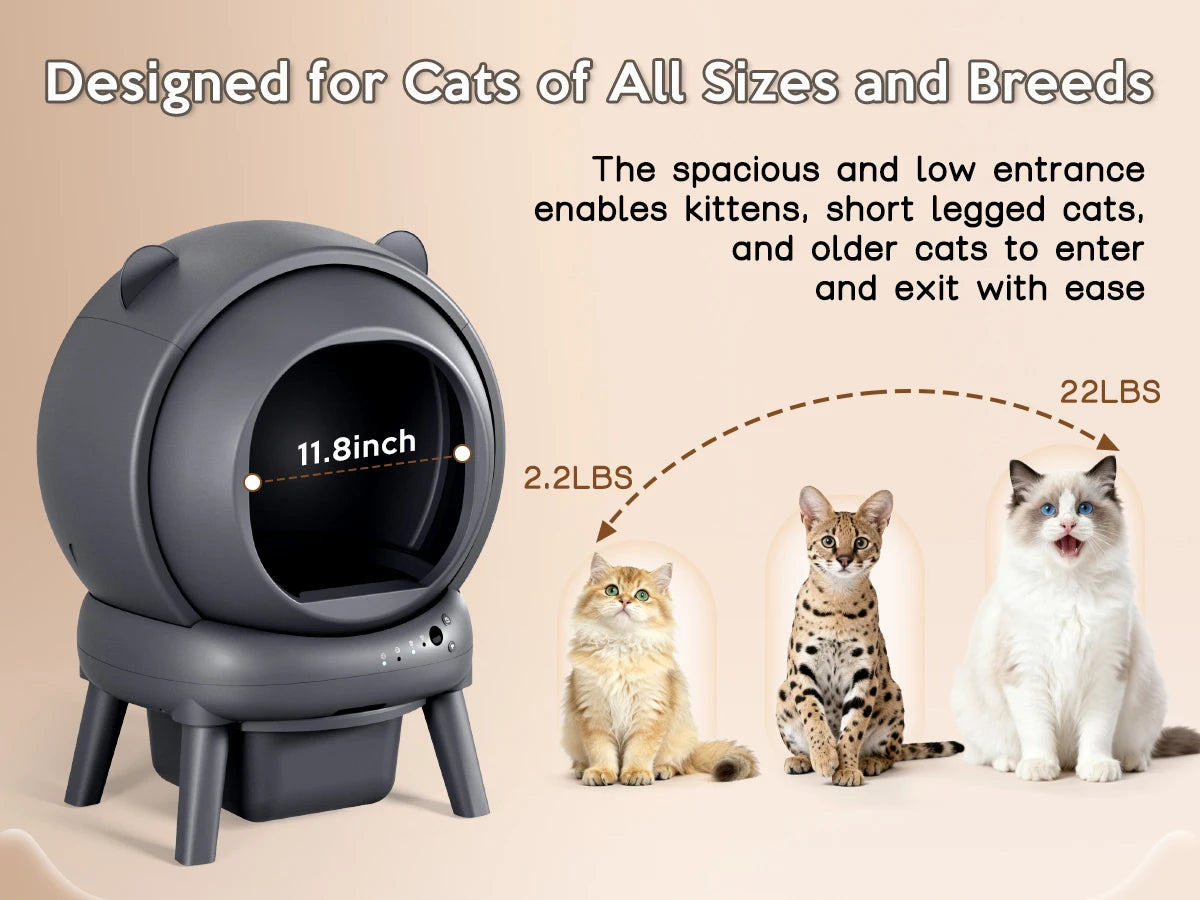 Cumridge Self-Cleaning Litter Box for multi-cat households.