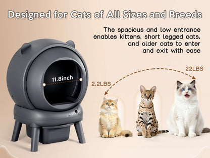 Cumridge Self-Cleaning Litter Box for multi-cat households.