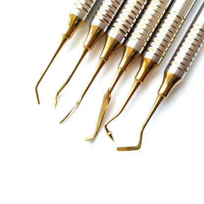 6pcs/set Dental  Spatula Titanium  Dentistry Instrument