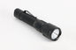 Pollux Flashlight