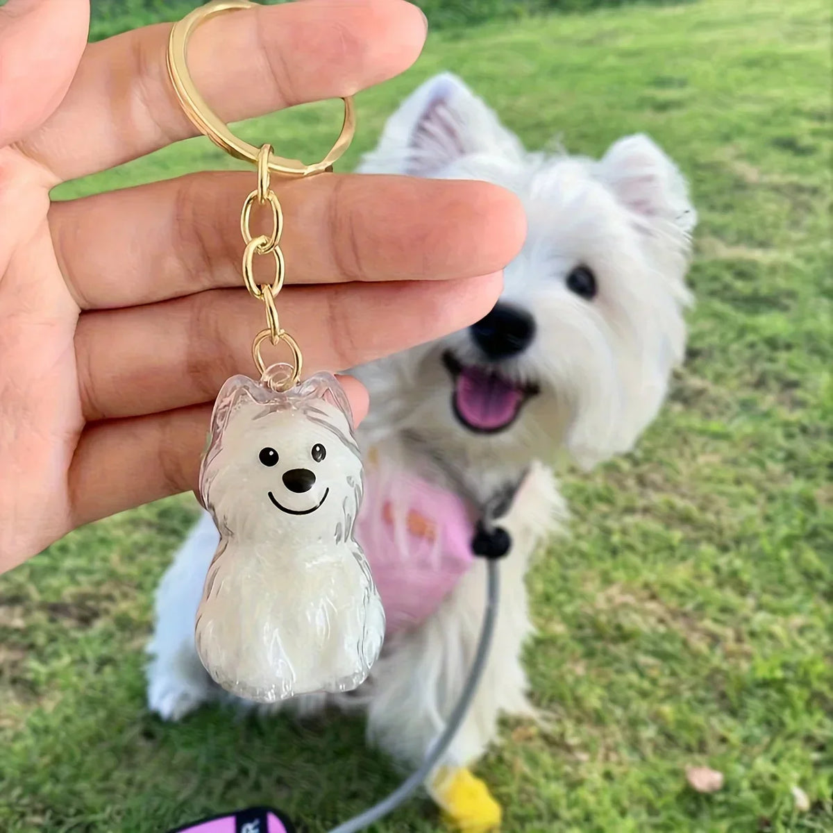 Transparent Dog Hair Storage Container, Memorial Keychain