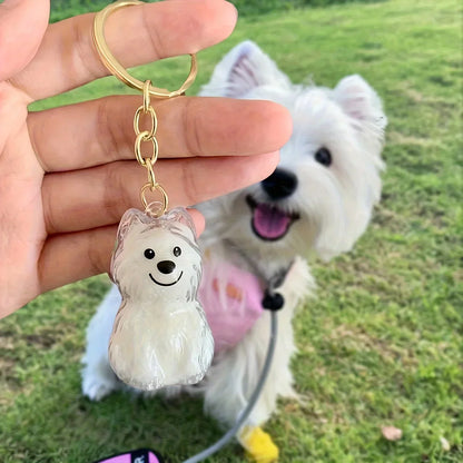 Transparent Dog Hair Storage Container, Memorial Keychain