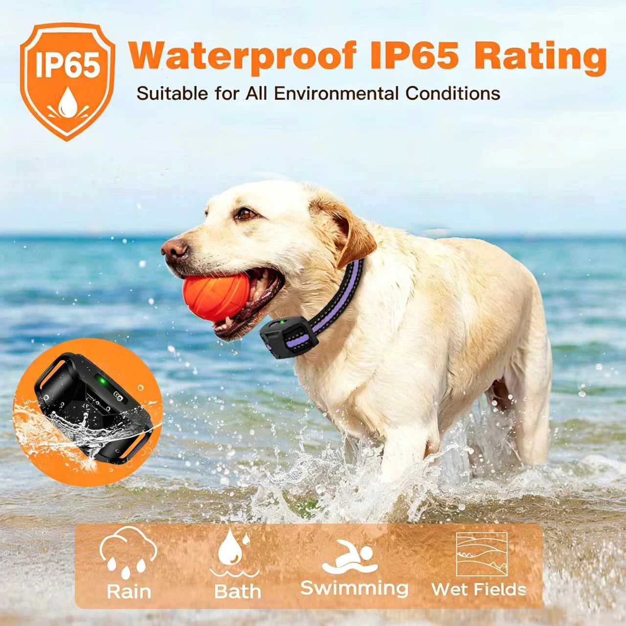 Electric Dog Training Collar For 5-120lbs Puppy