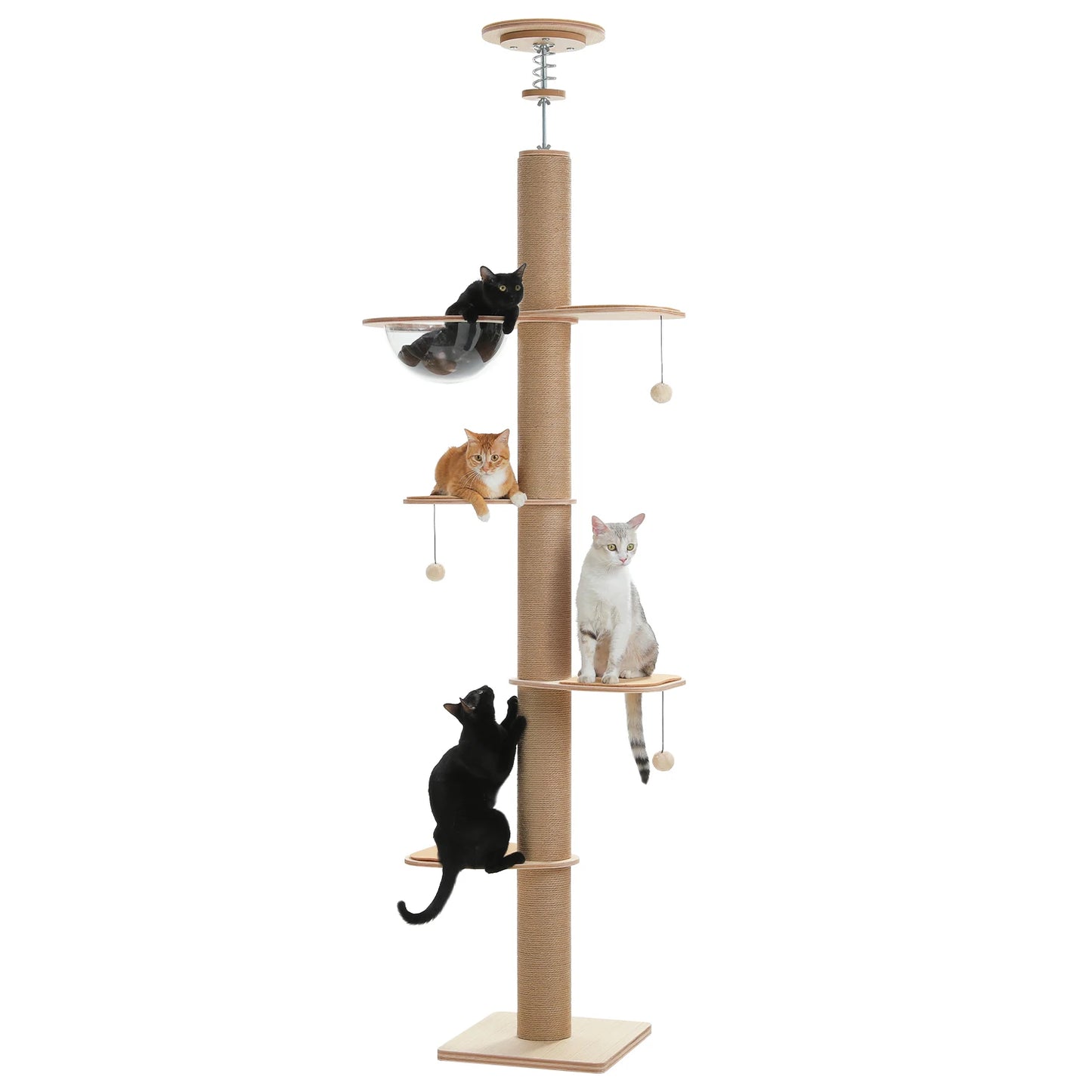 Floor to Ceiling Cat Tree for Indoor Cats  with Thick Scratching Posts
