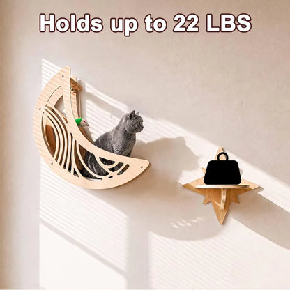 Wall Mounted Cat Shelves,  Hammock, Climbing Steps