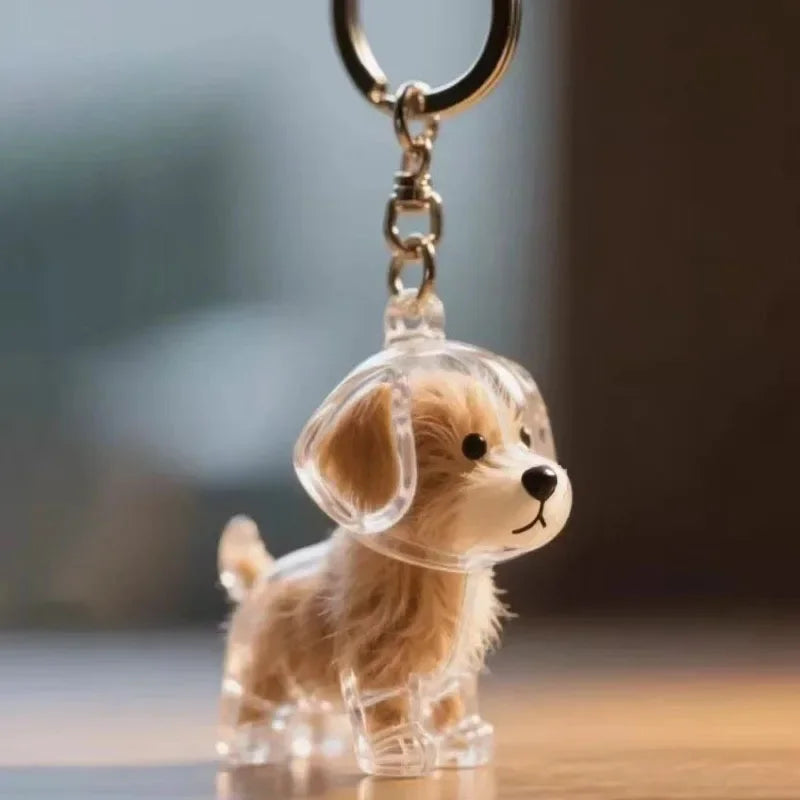 Transparent Dog Hair Storage Container, Memorial Keychain