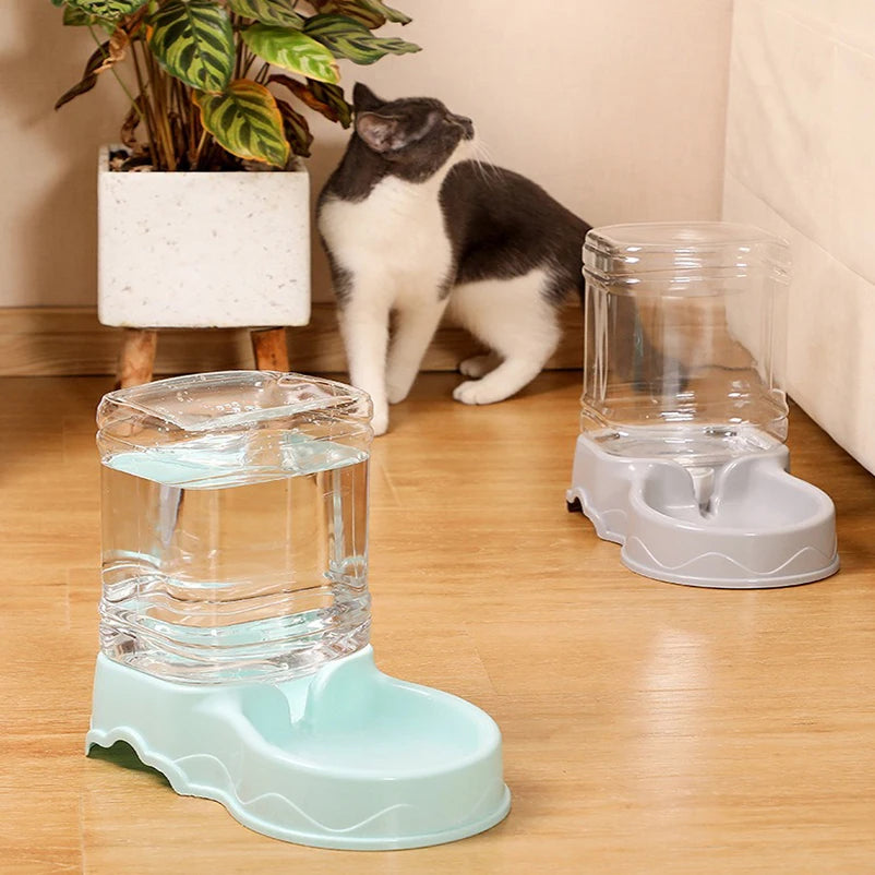 automatic feeder cat drinking bowl dog