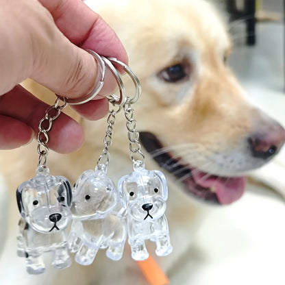 Transparent Dog Hair Storage Container, Memorial Keychain