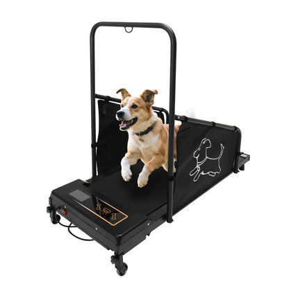 Dog Treadmill for Medium Dogs, for Pet Exercise