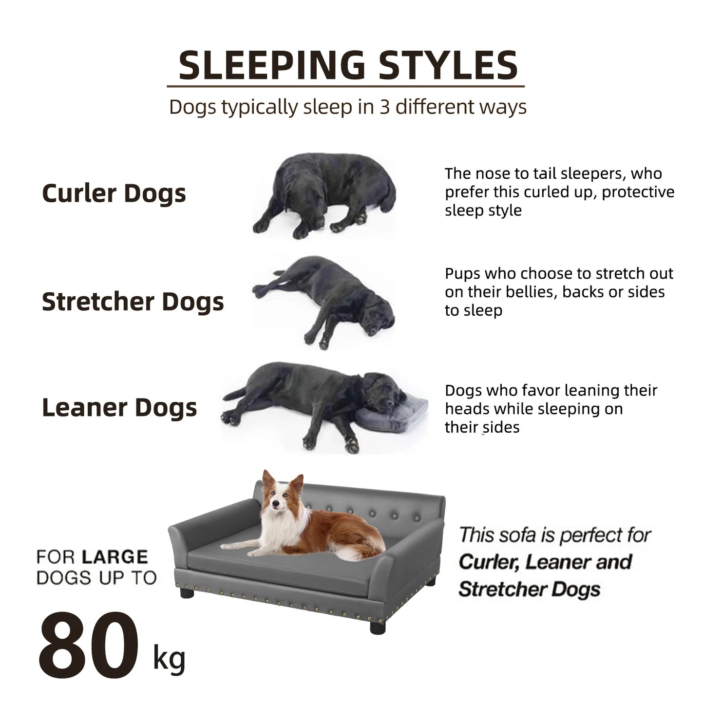 Elevated Dog Sofa for Medium to Large Dogs