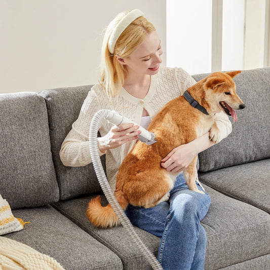 Pet Grooming Vacuum Kit