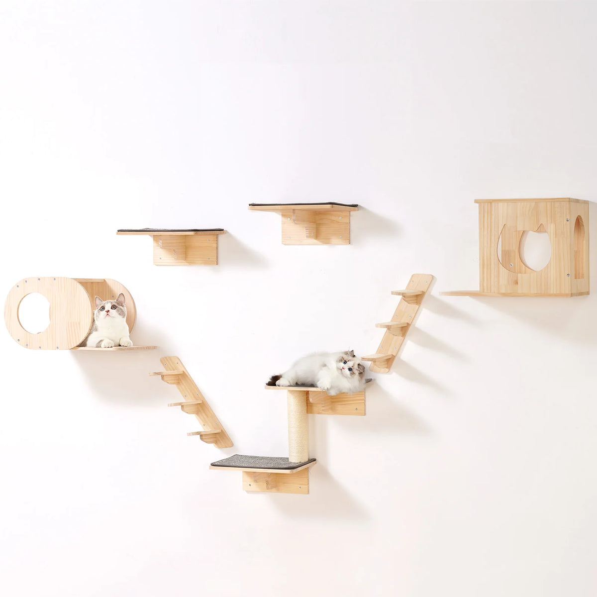 Wall Mounted Cat Shelves Cat Wall Shelves and Perches