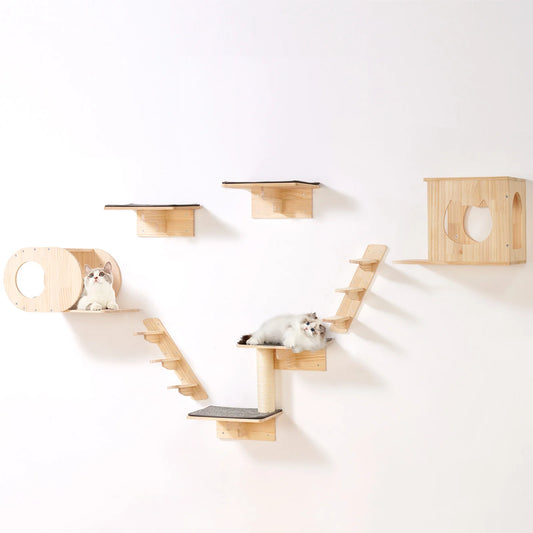 Wall Mounted Cat Shelves Cat Wall Shelves and Perches