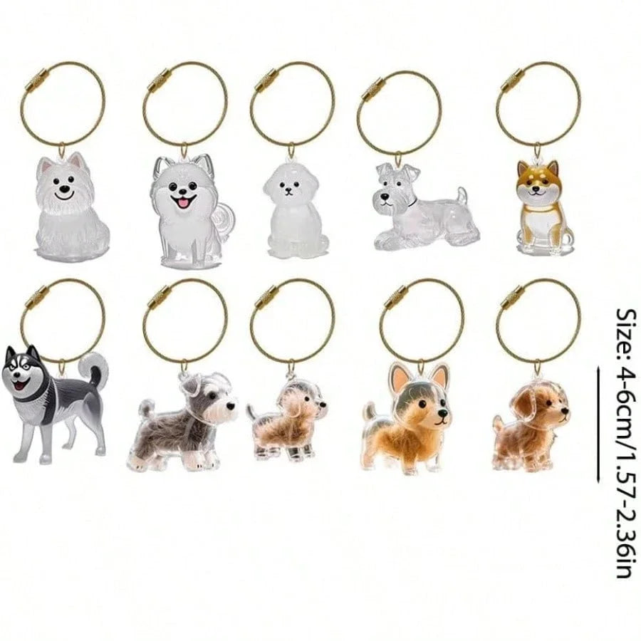 Transparent Dog Hair Storage Container, Memorial Keychain
