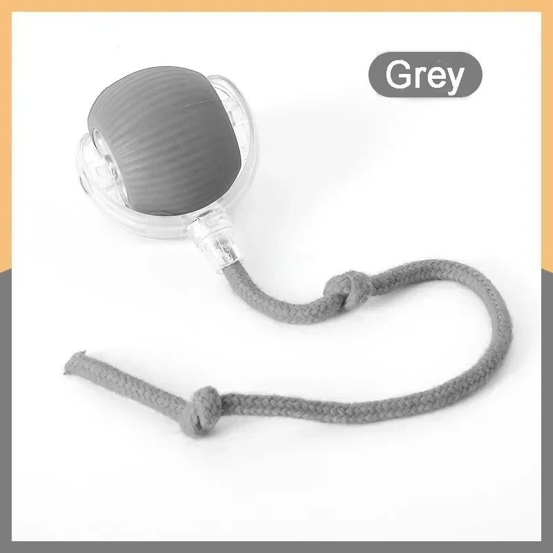 Speedy Tail Cat Toy, Interactive Cat Ball Toy