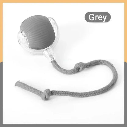 Speedy Tail Cat Toy, Interactive Cat Ball Toy