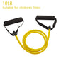 Resistance Bands With Handles, Strength Training