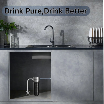 Under Sink Water Filter System