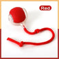 Speedy Tail Cat Toy, Interactive Cat Ball Toy
