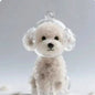Transparent Dog Hair Storage Container, Memorial Keychain