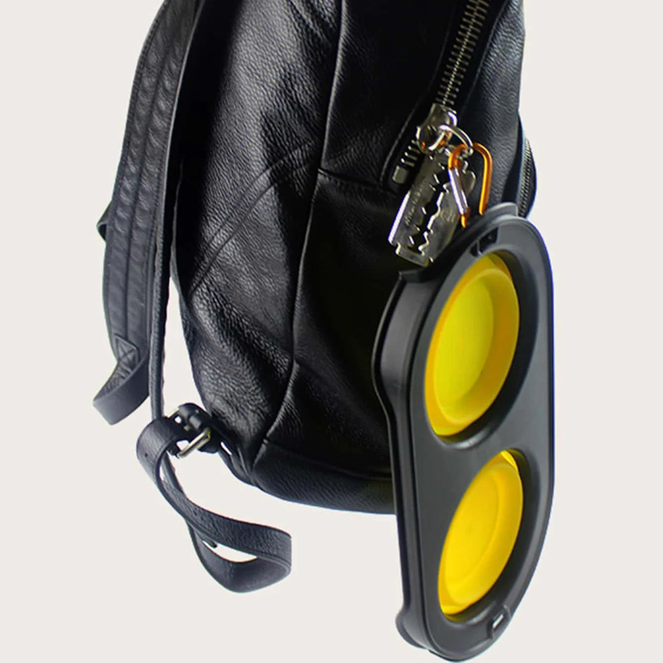 Collapsible Cat & Dog Travel Bowls