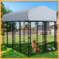 Heavy Duty Outdoor Dog Kennel with Roof