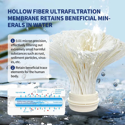 Whole House Water Filter System