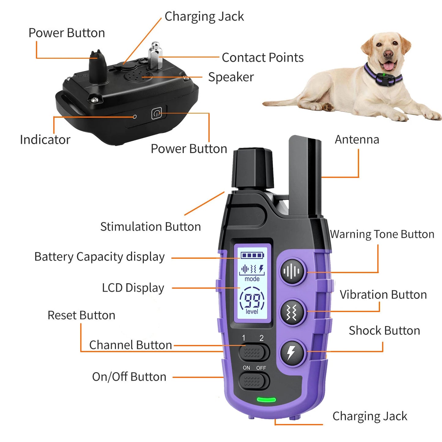 Electric Dog Training Collar For 5-120lbs Puppy