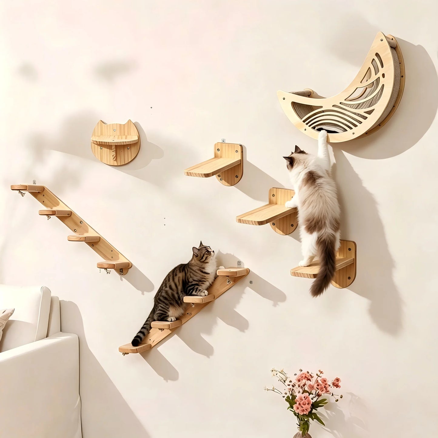 Wall Mounted Cat Shelves,  Hammock, Climbing Steps