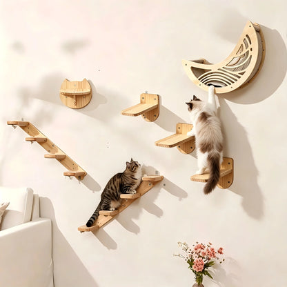 Wall Mounted Cat Shelves,  Hammock, Climbing Steps