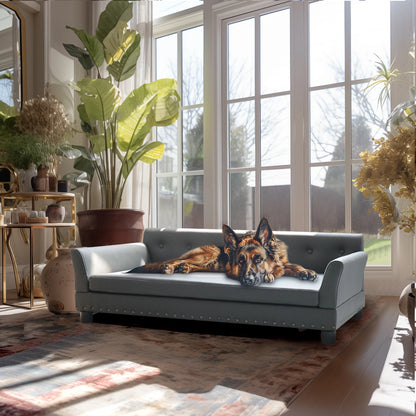 Pet Bed for Medium and Large Dogs