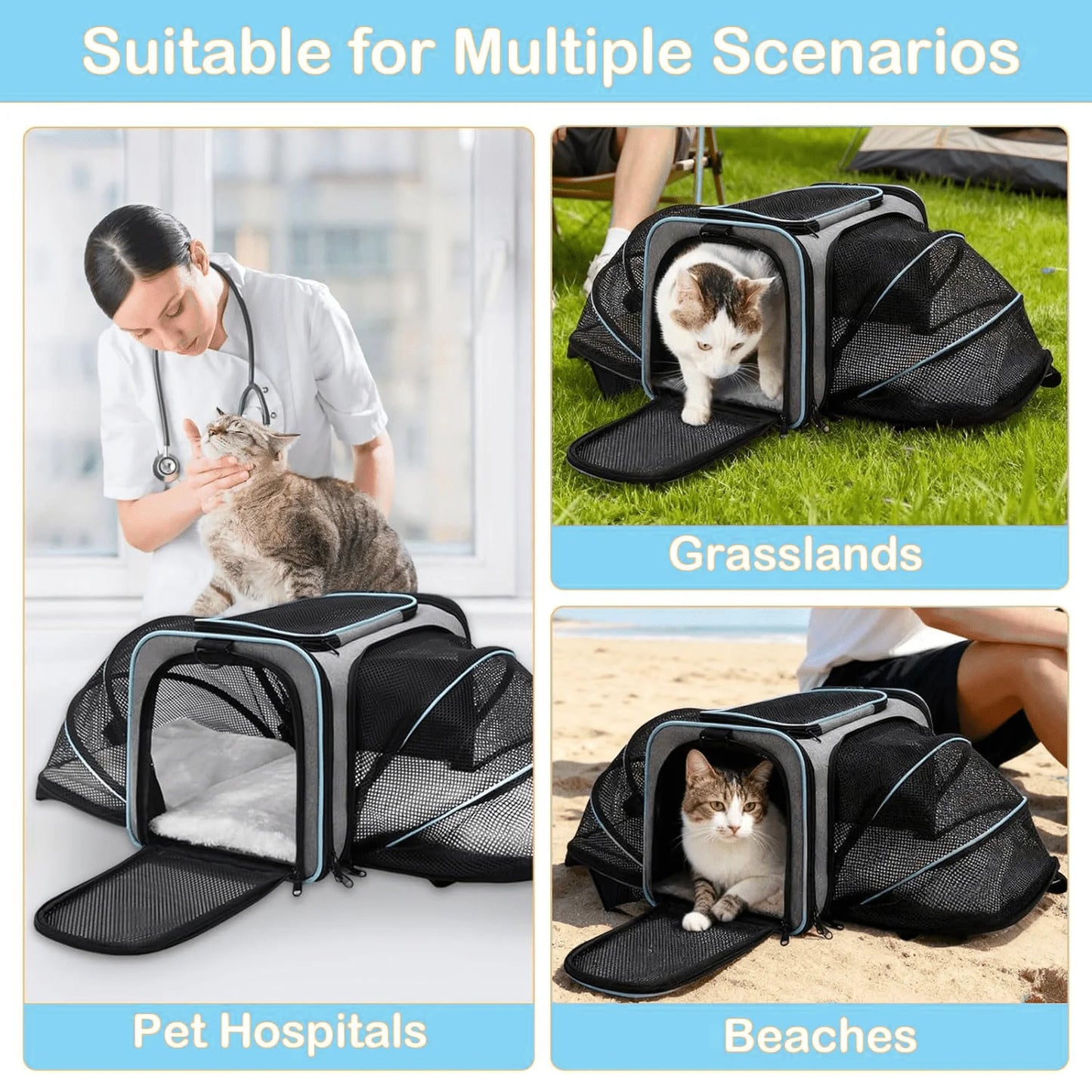 Airline Approved Pet Carrier