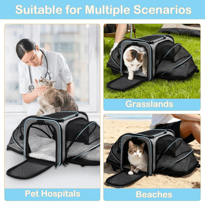 Airline Approved Pet Carrier