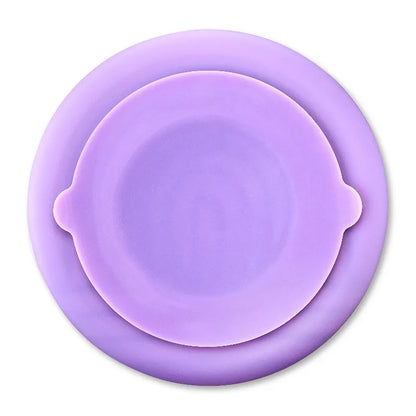 Silicone Slow Feeder Bowl for Pets,