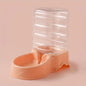 automatic feeder cat drinking bowl dog