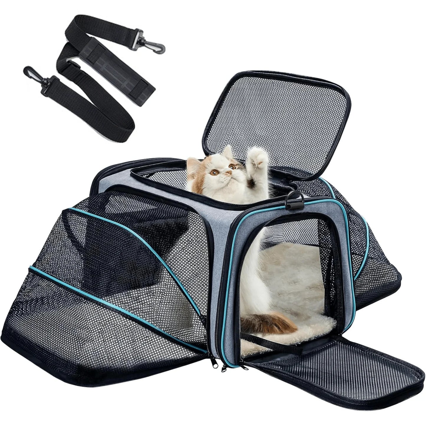 Airline Approved Pet Carrier