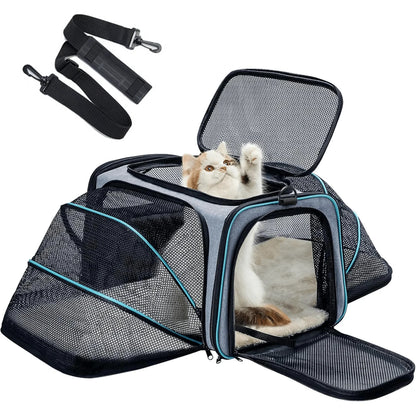 Airline Approved Pet Carrier