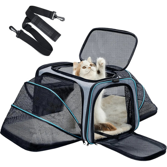 Airline Approved Pet Carrier