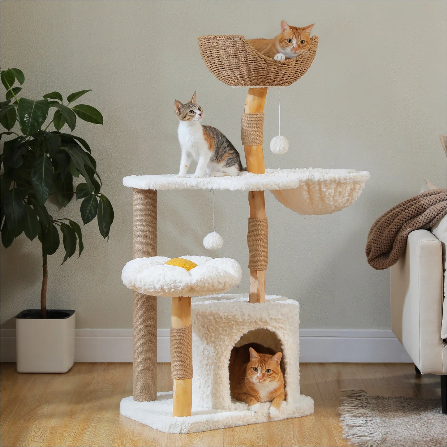 Cat Tree, Solid Wood Tower with Luxury Cat Condo, Hammock