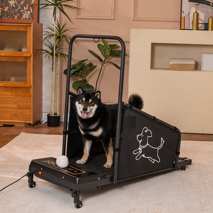 Dog Treadmill for Medium Dogs, for Pet Exercise