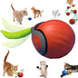 Speedy Tail Cat Toy, Interactive Cat Ball Toy