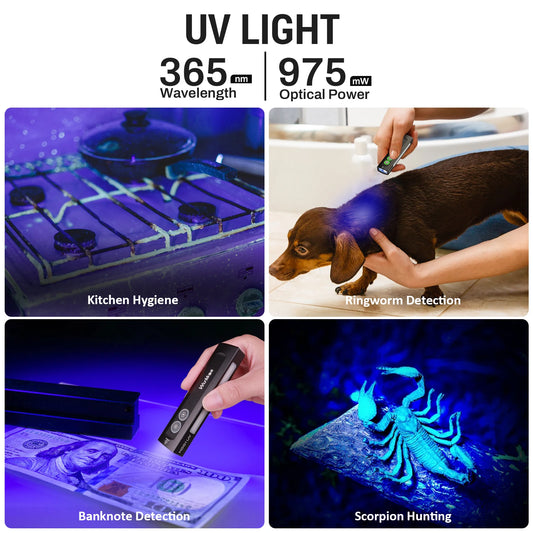 Flashlight with UV Light White Flood, Waterproof