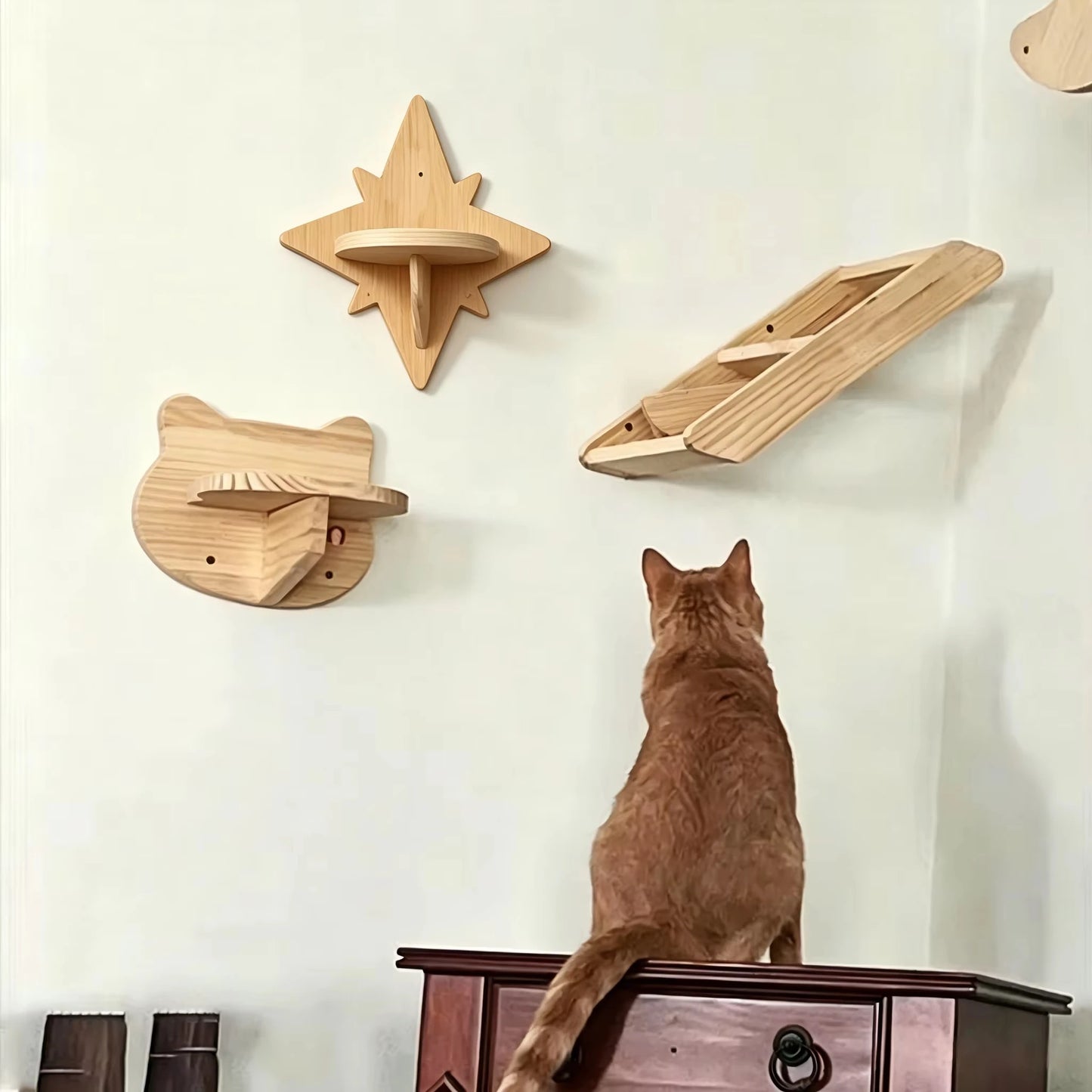 Wall Mounted Cat Shelves,  Hammock, Climbing Steps