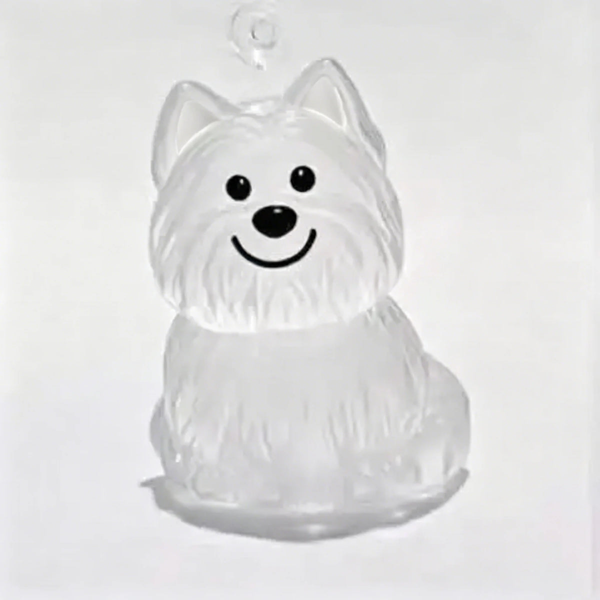 Transparent Dog Hair Storage Container, Memorial Keychain