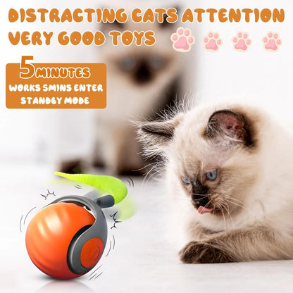 Speedy Tail Cat Toy, Interactive Cat Ball Toy