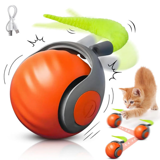 Speedy Tail Cat Toy, Interactive Cat Ball Toy