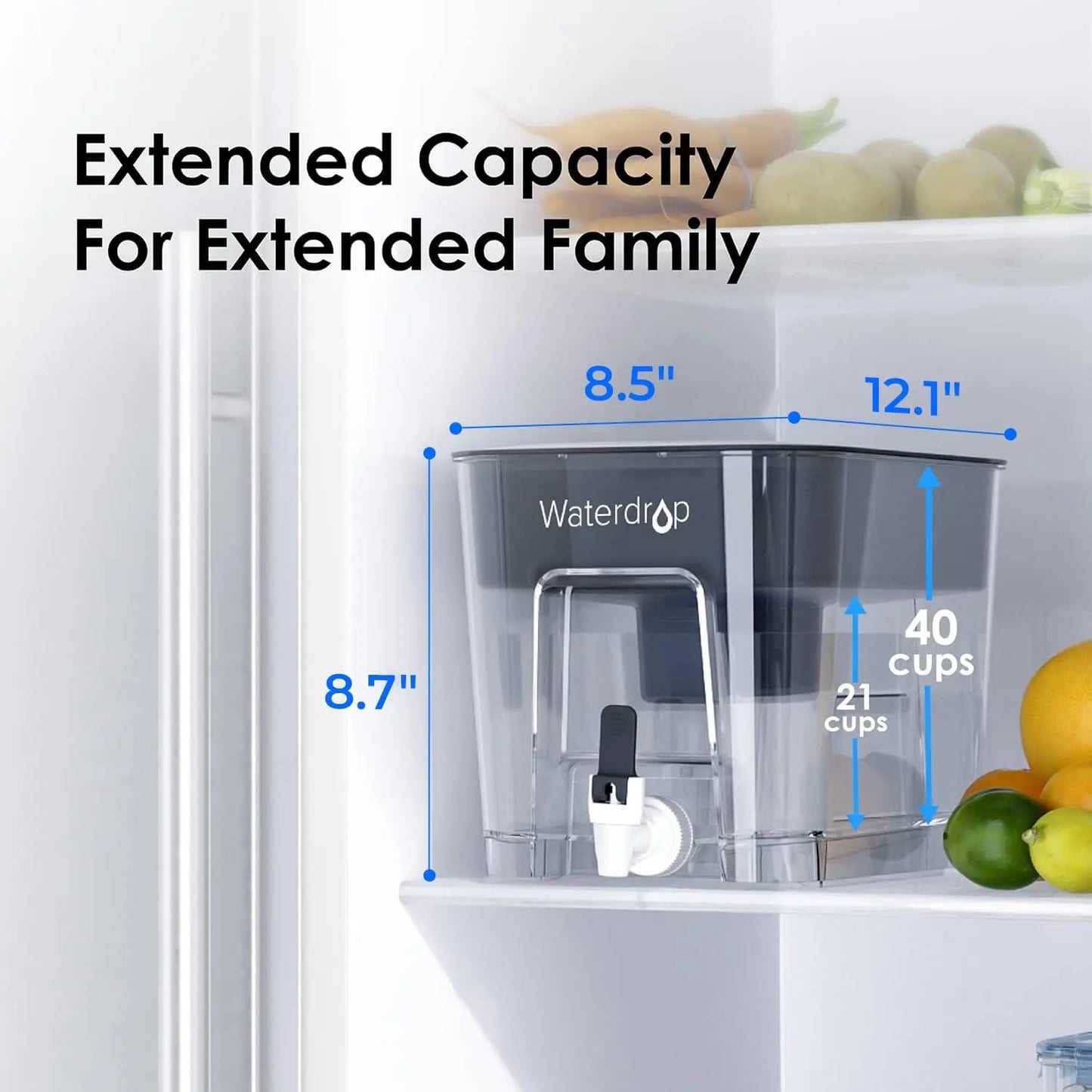 Water Filter , 200-Gallon Capacity, Reduces Chlorine