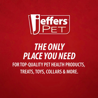 Jeffers Pet Christmas Characters Unstuffed Plush Squeaker Dog Toys, 12 inch